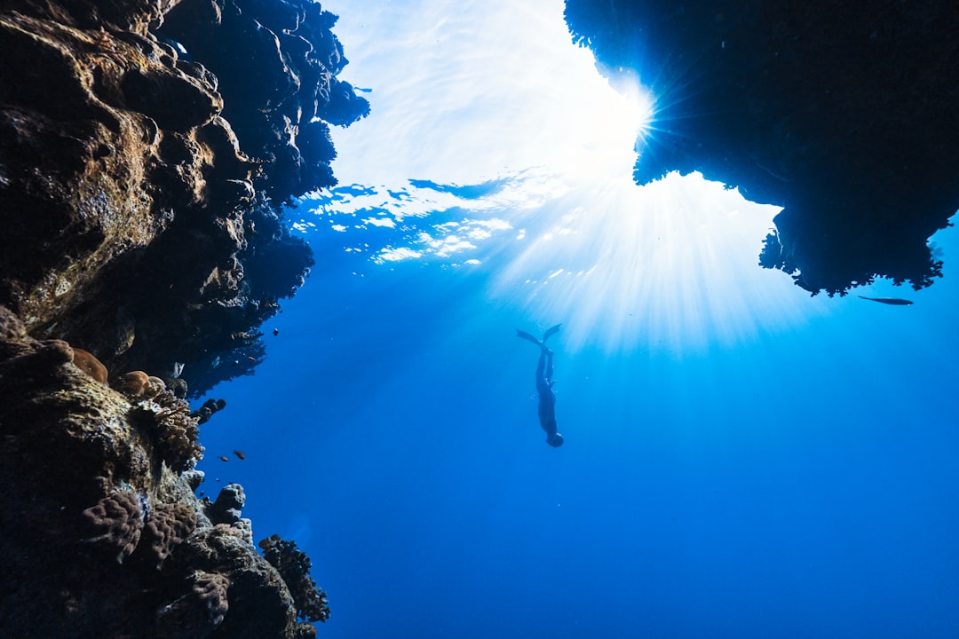 Photo Underwater adventure